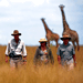 Walking safaris